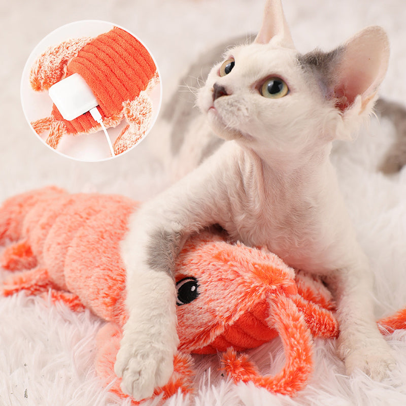 🐶Interaktives Katzen- und Hundespielzeug🐶