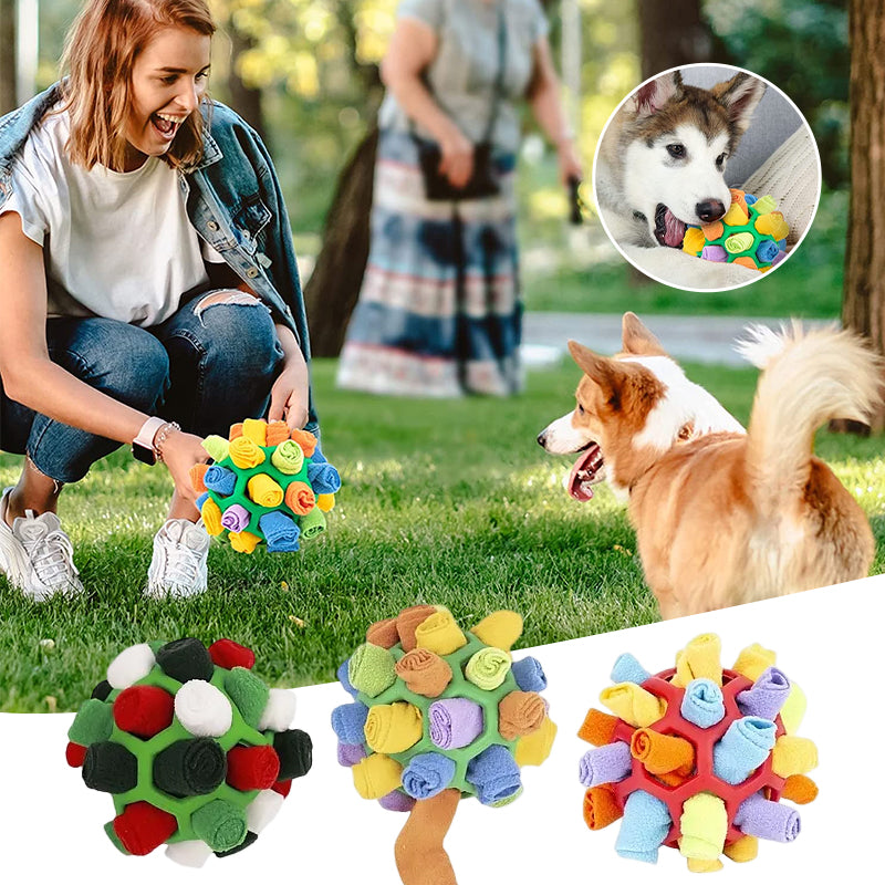 🐶Schnüffelball für Haustiere