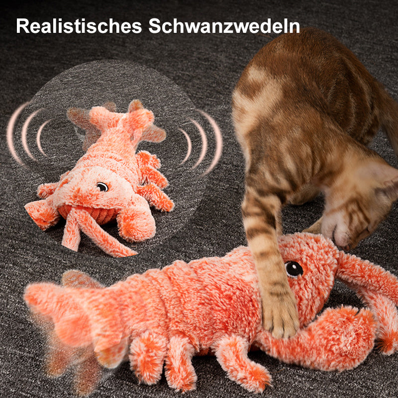 🐶Interaktives Katzen- und Hundespielzeug🐶