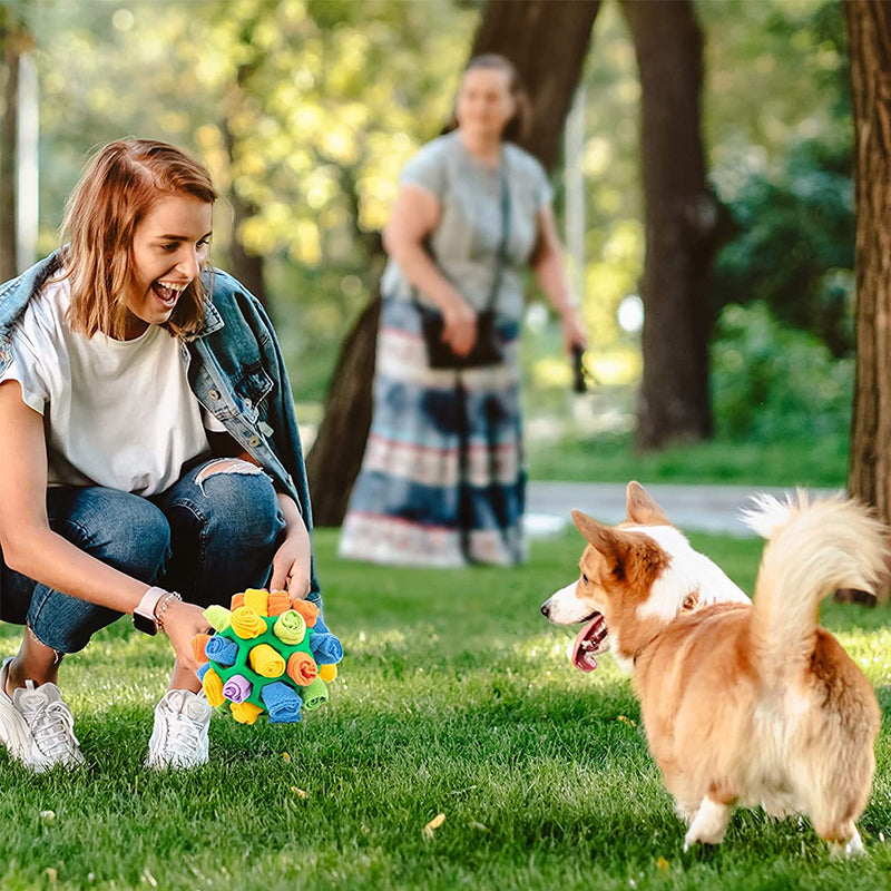 🐶Schnüffelball für Haustiere
