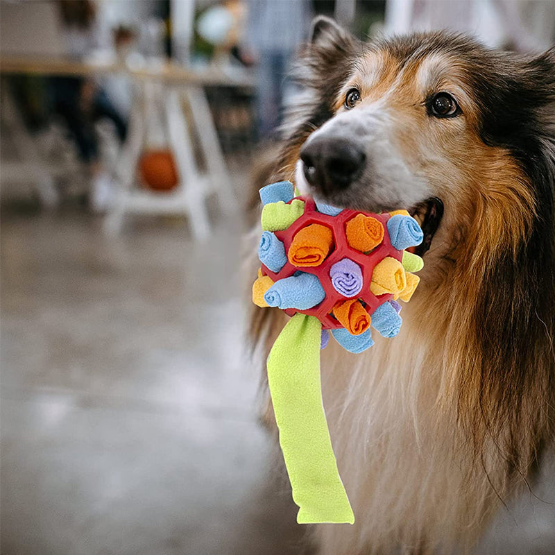 🐶Schnüffelball für Haustiere