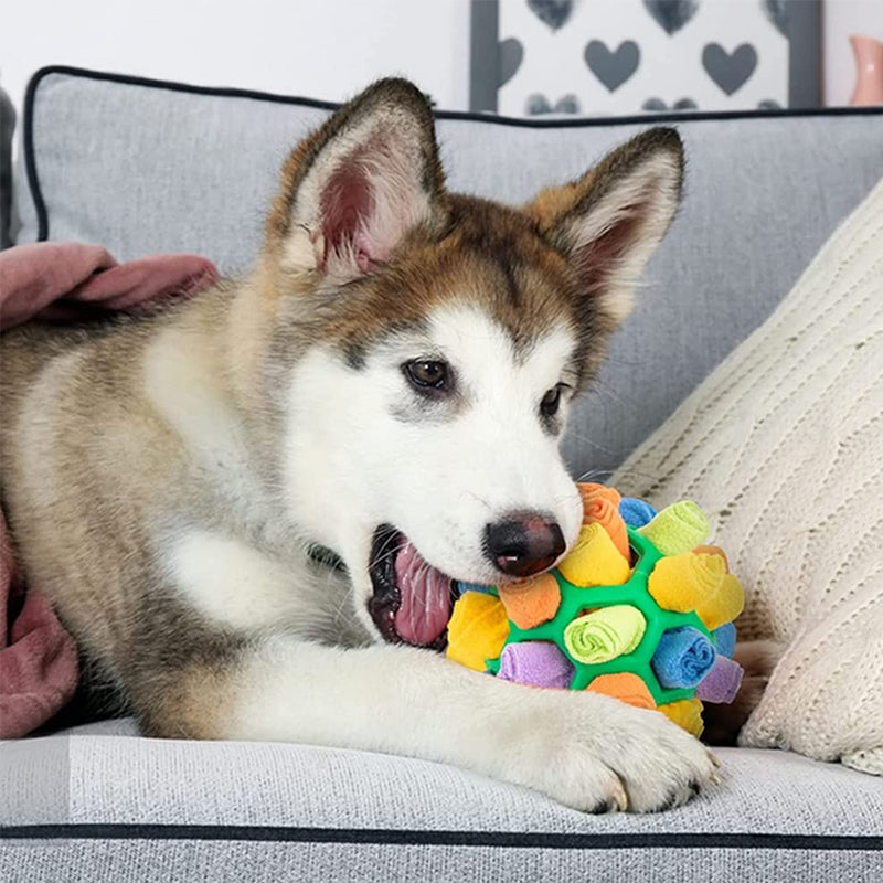 🐶Schnüffelball für Haustiere
