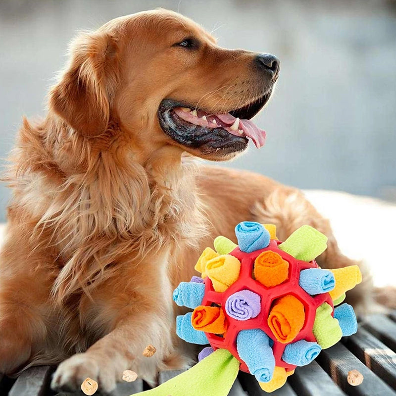 🐶Schnüffelball für Haustiere
