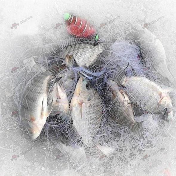 Eruptives Fischhakennetz