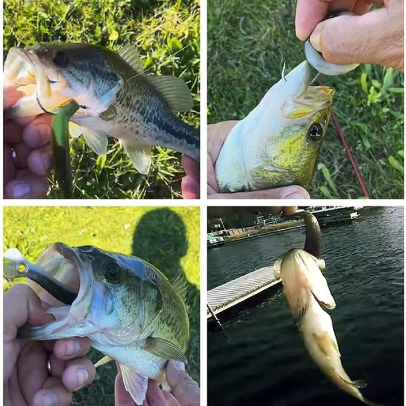 Gummifische mit mehreren Segmenten