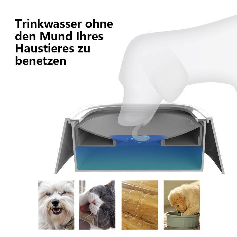 💥Keine verschüttete Haustierwasserschale💥
