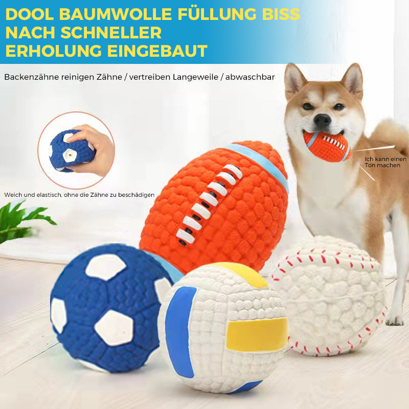 🐶Bissfester Ball für Hunde🐕