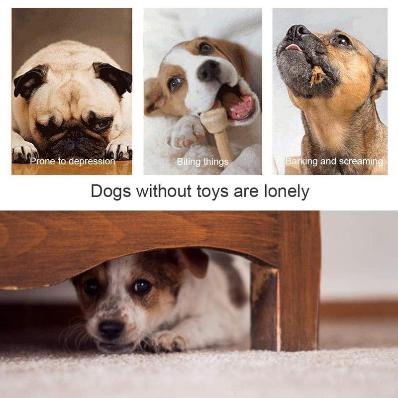 🐶Interaktives Futterspielzeug mit Saugnapf🐶