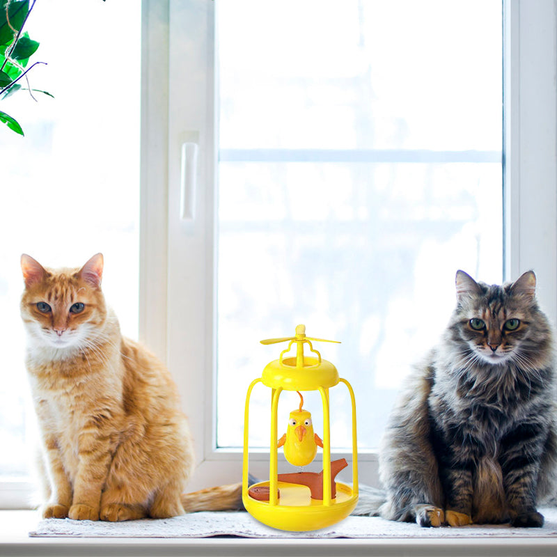 Quietscht Vogelkäfig Tumbler Katze Spielzeug  Interaktives Spielzeug