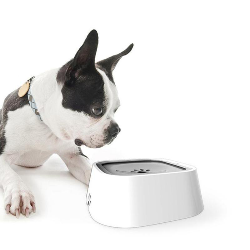 💥Keine verschüttete Haustierwasserschale💥