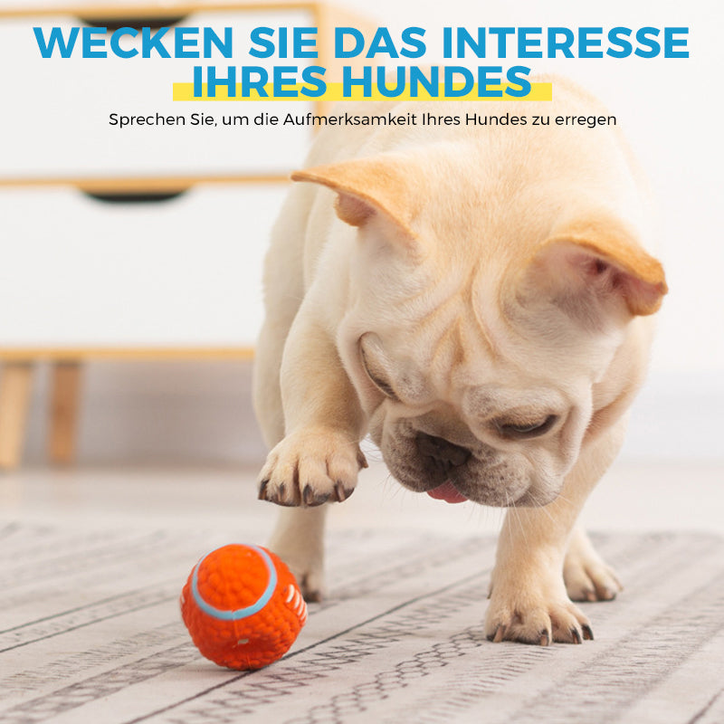 🐶Bissfester Ball für Hunde🐕