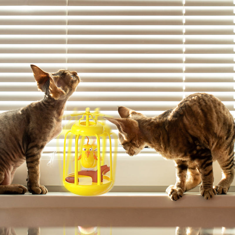 Quietscht Vogelkäfig Tumbler Katze Spielzeug  Interaktives Spielzeug