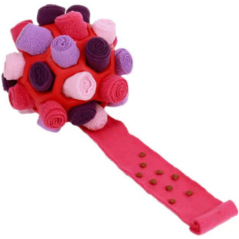 ✨ 🐶Schnüffelball für Haustiere🥰✨